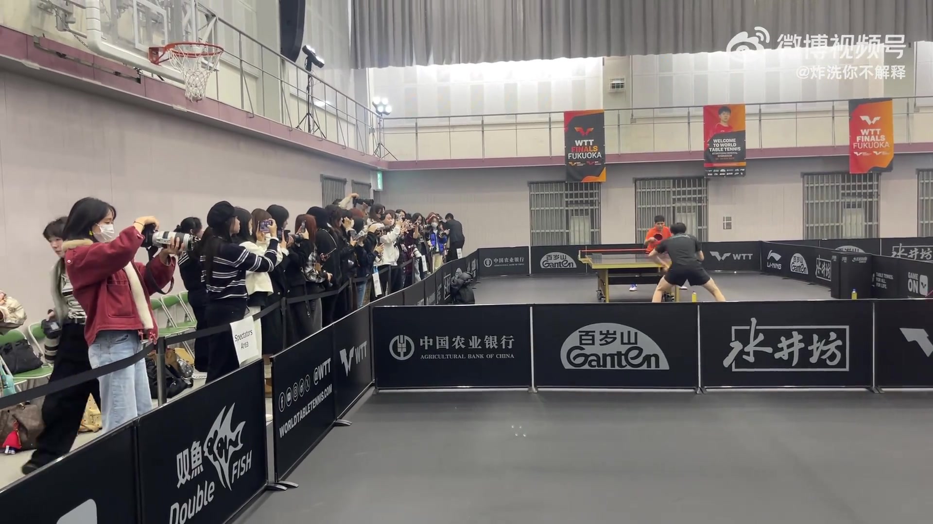 超人气！王楚钦训练时不少女性围观